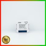 module dieu khien 2 kenh